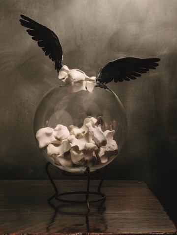 Xénese, Vanitas
