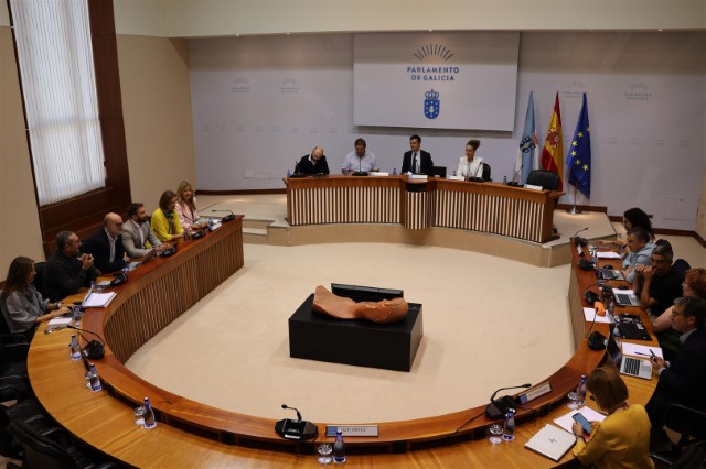  Ditame e acordos acadados na sesión da Comisión Permanente non Lexislativa para as Relacións co Consello de Contas o 13 de setembro de 2024