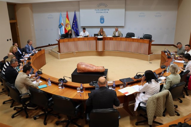  Acordos da Comisión 6ª, Industria, Enerxía, Comercio e Turismo, celebrada o 19 de setembro de 2024