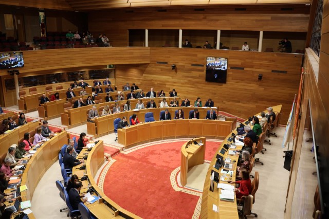  Proposicións non de lei aprobadas polo Pleno do Parlamento de Galicia o 4 de decembro de 2024