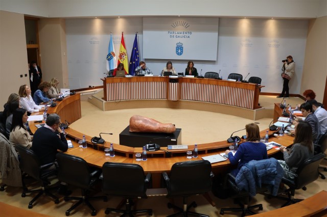 Acordos aprobados na Comisión 5ª, Sanidade, Política Social e Emprego do 19 de decembro de 2024