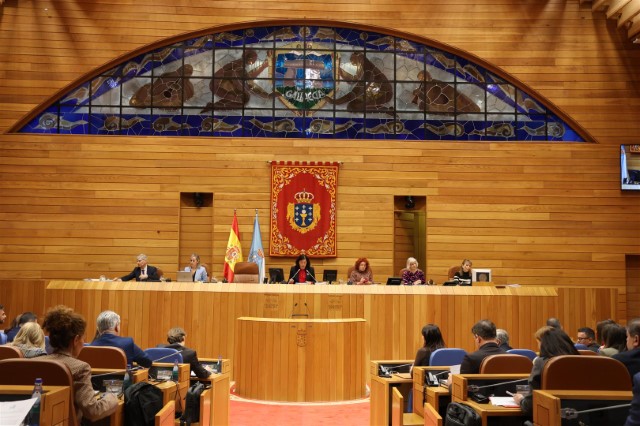 Proposicións non de lei aprobadas polo Pleno do Parlamento de Galicia o 29 de xaneiro de 2025