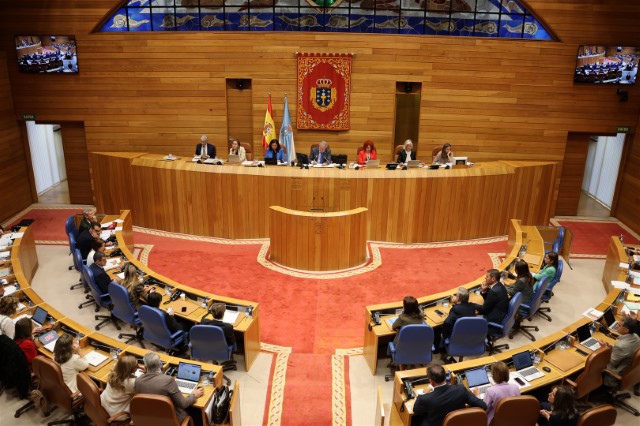  Declaración institucional do Parlamento de Galicia con ocasión do Día Mundial da dor