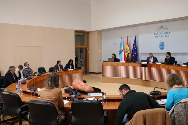 Acordos aprobados na reunión da Comisión 1ª, Institucional, de Administración Xeral, Xustiza e Interior celebrada o 28 de febreiro de 2025
