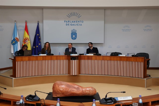 Acordos aprobados na reunión da Comisión 1ª, Institucional, de Administración Xeral, Xustiza e Interior celebrada o 28 de febreiro de 2025
