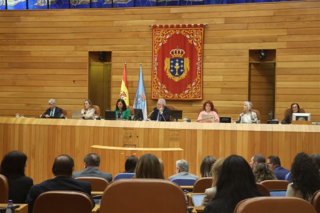 Proposicións non de lei aprobadas polo Pleno do Parlamento de Galicia o 7 de maio de 2025