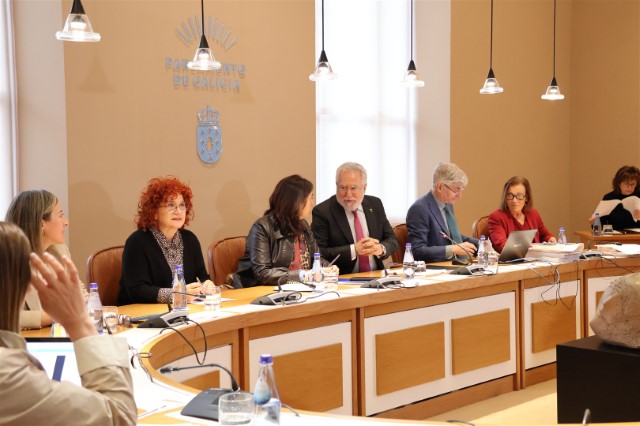 Convocatoria sesión plenaria do 20 de maio de 2025