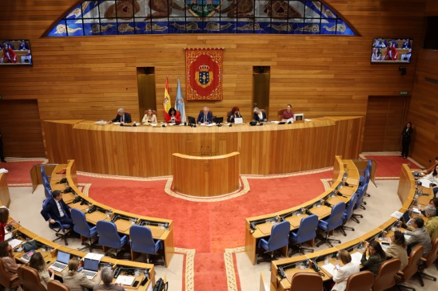 Proposicións non de lei aprobadas polo Pleno do Parlamento de Galicia o 20 de maio de 2025