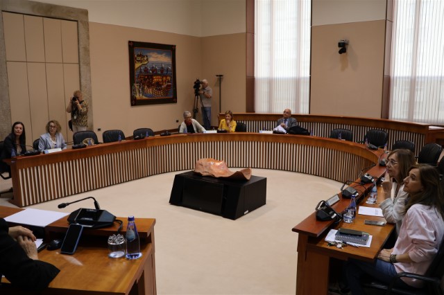 Constituída formalmente a Comisión non permanente de estudo para o seguimento das políticas relativas á discapacidade