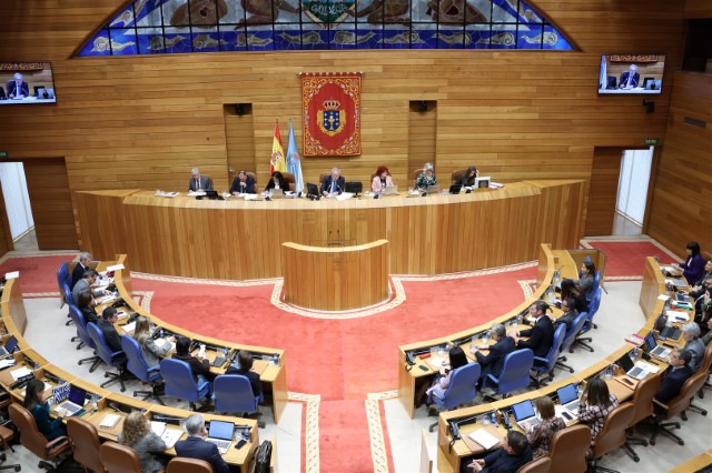  Declaración institucional do Parlamento de Galicia con ocasión do Día Mundial das enfermidades raras