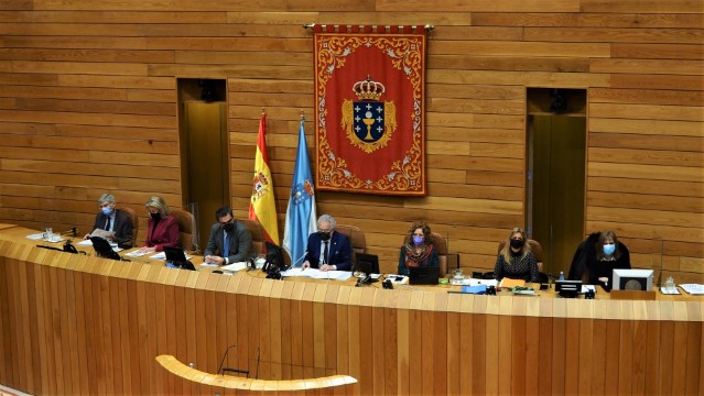 Declaración Institucional do Parlamento de Galicia con ocasión do Día Mundial das Enfermidades Raras 2022
