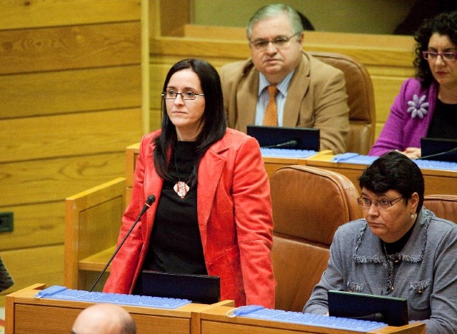 Dolores Rodríguez Amoroso e Luis Gómez Piña toman posesión como deputados no Parlamento de Galicia, que tamén designa aos tres senadores en representación da Comunidade Autónoma