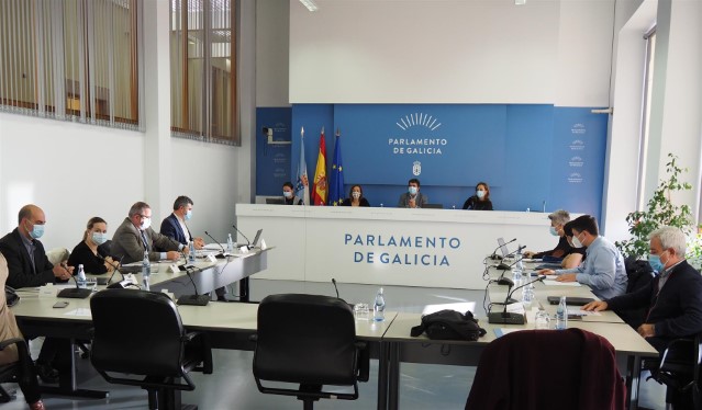 Acordos da Comisión 4ª, Educación e Cultura, celebrada o 27 de novembro de 2020