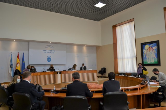 Gonzalo Caballero e Teresa Porritt toman posesión como deputados do Parlamento de Galicia