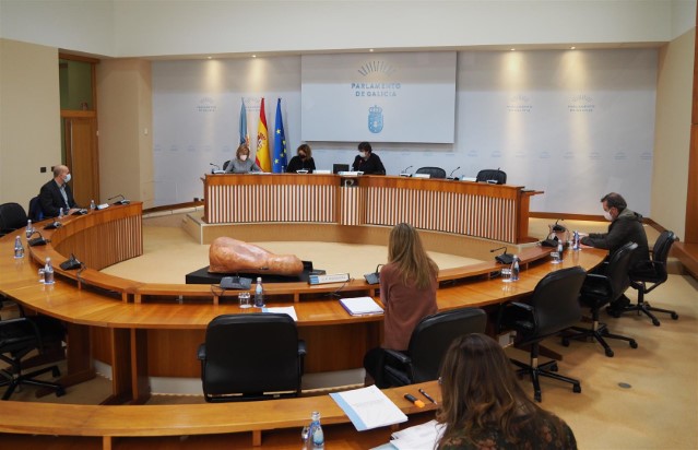 Acordos da Comisión non permanente especial de estudo sobre a seguridade viaria en Galicia, celebrada o día 16 de novembro de 2020