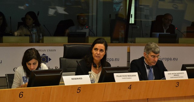 Pilar Rojo preside en Bruxelas unha reunión do Comité Permanente da Conferencia de Asembleas Lexislativas Rexionais Europeas
