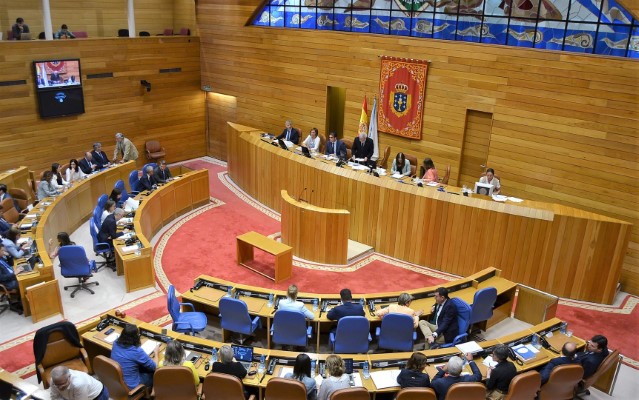 O Pleno do Parlamento elixe a María Dolores Fernández Galiño como valedora do pobo