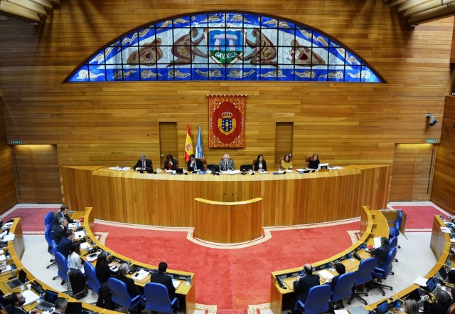 Declaración Institucional do Parlamento de Galicia con motivo da celebración do Día Mundial da Síndrome de Down