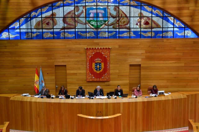 Declaración institucional do Parlamento de Galicia con motivo do 25 de novembro, Día internacional da eliminación da violencia contra a muller