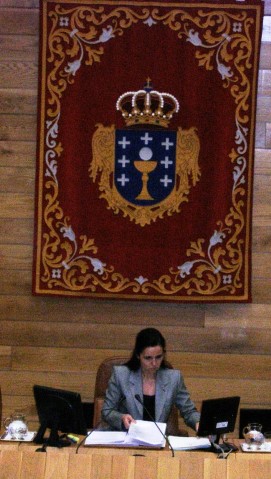 A presidenta do Parlamento de Galicia, Pilar Rojo Noguera, leu a Declaración institucional