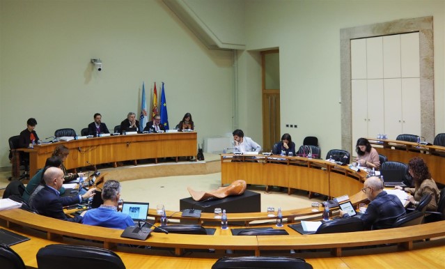 Acordos da Comisión Permanente non Lexislativa para as Relacións co Consello de Contas, na súa sesión do 31 de xaneiro de 2020