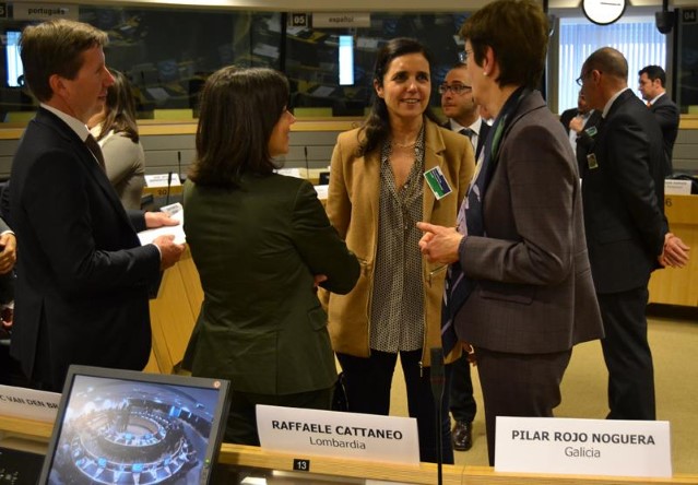Pilar Rojo anima aos parlamentos rexionais a “incentivar” a participación nas eleccións europeas para reforzar a “fortaleza e lexitimidade democrática da integración” comunitaria